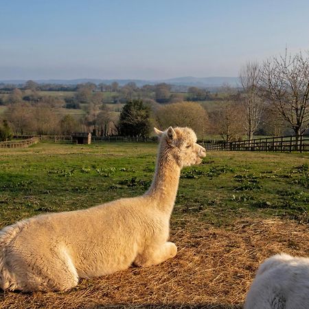 Charlie'S Cottage With Alpacas And 7Mins Drive To Alton Towers Denstone Exterior photo